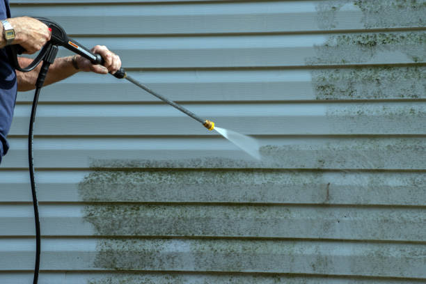 Best Deck Pressure Washing  in Friendswood, TX