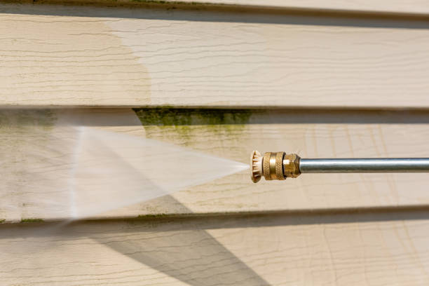 Best Exterior Home Cleaning  in Friendswood, TX