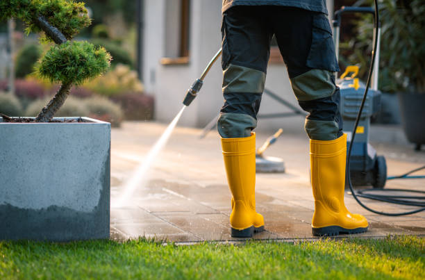 Best Pressure Washing Services Near Me  in Friendswood, TX